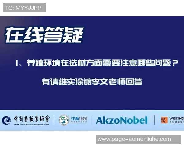 上海排球队整体压制革新之路探索与未来展望