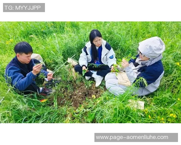 北京羽毛球队逆袭之路揭示团队精神与坚持不懈的力量