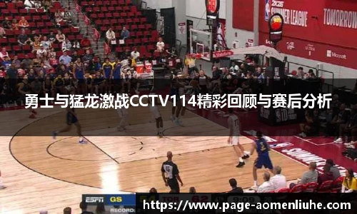 勇士与猛龙激战CCTV114精彩回顾与赛后分析
