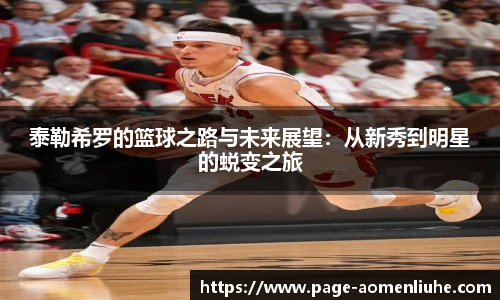新澳门六合彩
